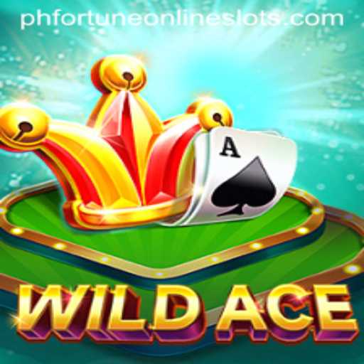 WildAce: An Exciting Adventure Into 